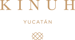 Logo Kinuh